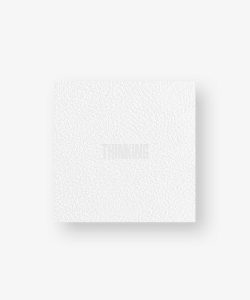 ZICO + 1st Album [THINKING]