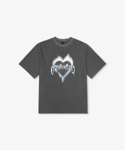 ZICO + Pigment T-Shirt (dark grey)